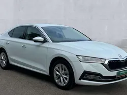 White Used 2024 Skoda Octavia SE L Hatchback | £19,450 (Fair price)