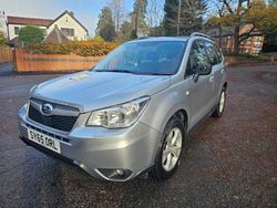 Silver Used 2015 Subaru Forester SUV | £5,499 (Super price)