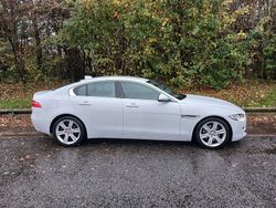 White Used 2016 Jaguar XE Portfolio Sedan | £7,995 (Fair price)