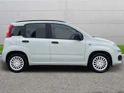 White Used 2015 Fiat Panda Easy Hatchback | £5,350 (Fair price)