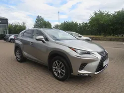 Silver Used 2019 Lexus NX300h SUV | £23,500 (Fair price)