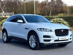 White Used 2021 Jaguar F-Pace Portfolio SUV | £25,200 (A bit pricey)