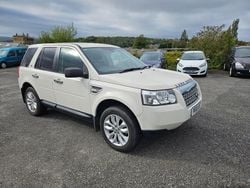 White Used 2010 Land Rover Freelander 2 S SUV | £3,895 (Super price)