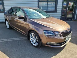 Brown Used 2019 Skoda Octavia SE L Hatchback | £13,995 (Fair price)