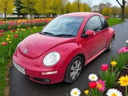 Red Used 2008 VW Beetle Hatchback | £1,995 (Fair price)