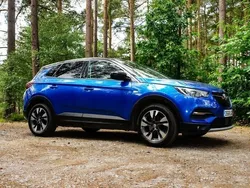 Blue Used 2018 Vauxhall Grandland X Sport SUV | £8,495 (A bit pricey)