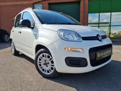 White Used 2015 Fiat Panda Easy Hatchback | £2,999