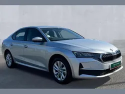 Silver New 2024 Skoda Octavia SE Technology Hatchback | £21,490 (Good price)