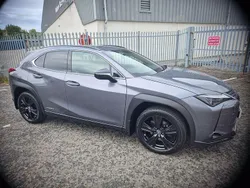 Grey Used 2021 Lexus UX Sport Line SUV | £20,995 (Super price)
