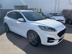 White Used 2023 Ford Kuga ST-Line SUV | £23,495 (A bit pricey)