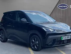 Black Used 2025 BYD Dolphin Comfort Hatchback | £18,990 (Good price)