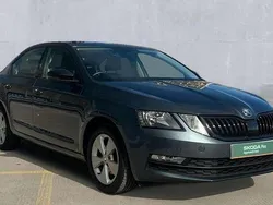 Grey Used 2019 Skoda Octavia SE Technology Hatchback | £12,450 (Fair price)