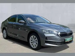 Grey Used 2025 Skoda Octavia SE L Hatchback | £29,990
