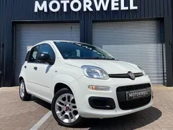 White Used 2016 Fiat Panda Easy Hatchback | £6,999 (Fair price)