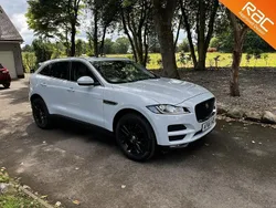 White Used 2016 Jaguar F-Pace Portfolio SUV | £14,999 (Fair price)