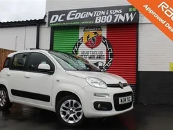 White Used 2014 Fiat Panda Lounge Hatchback | £8,950 (Expensive)