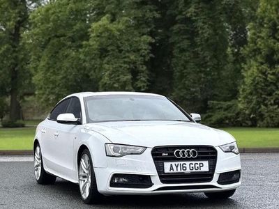 White Used 2016 Audi S5 Sportback Black Edition Hatchback | £16,495