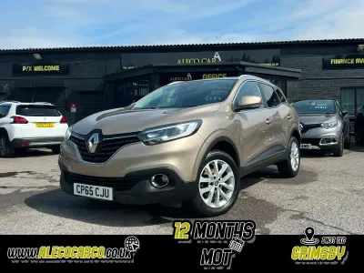 Used Renault Kadjar Dynamique 110 HP (80 kW) 2016 Beige SUV