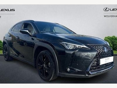 Used Lexus UX 250h 184 HP (135 kW) 2024 SUV