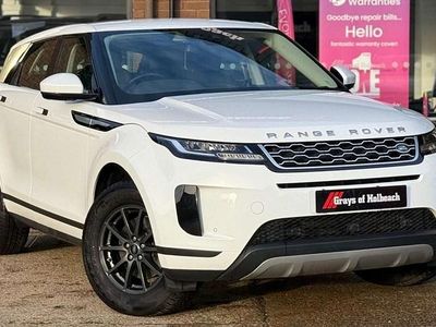 Used Land Rover Range Rover evoque 150 HP (110 kW) 2019 White SUV