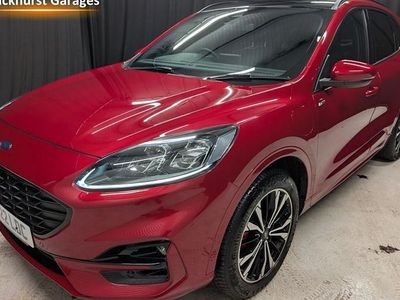 Used Ford Kuga ST-Line X 224 HP (164 kW) 2023 SUV