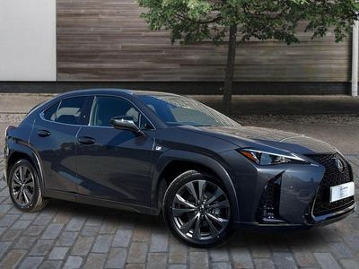 Used Lexus UX 300h Sport Line 2025 Grey SUV