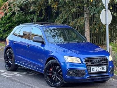 Used Audi SQ5 Basis 2016 Blue SUV
