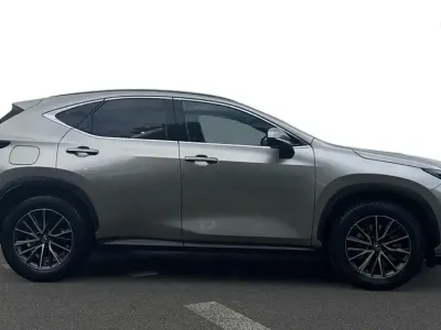 Used Lexus NX450h+ 2023 Silver SUV