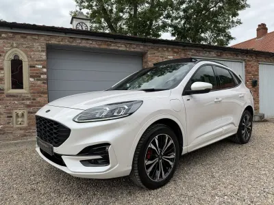 Used Ford Kuga ST-Line X 225 HP (165 kW) 2023 White SUV