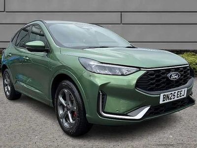Used Ford Kuga ST-Line 239 HP (175 kW) 2025 Green SUV