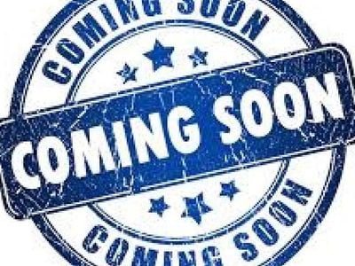 Used Ford Focus Zetec 115 HP (84 kW) 2013 Silver Hatchback