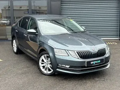 Used Skoda Octavia SE L 150 HP (110 kW) 2019 Grey Hatchback
