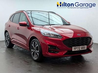 Used Ford Kuga ST-Line X 150 HP (110 kW) 2022 Red SUV