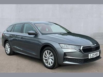 Used Skoda Octavia SE L 147 HP (108 kW) 2025 Grey Estate
