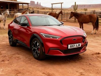 Used Ford Mustang Mach-E Standard Range 189 kW (258 HP) 2022 SUV