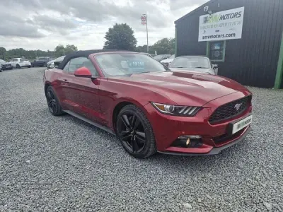 Used Ford Mustang
