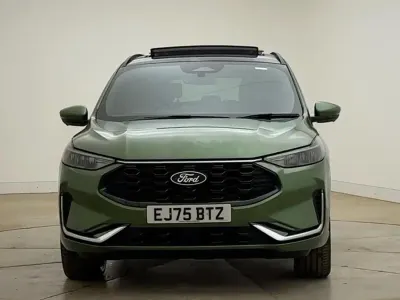 Used Ford Kuga ST-Line X 243 HP (178 kW) 2025 Bursting green (metallic) SUV