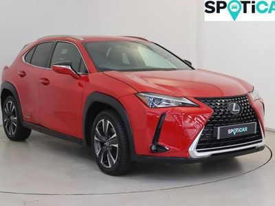 used Lexus UX 2.0 250H E-CVT EURO 6 (S/S) 5DR HYBRID FROM 2020 FROM WELLINGBOROUGH (NN8 4LG) | SPOTICAR