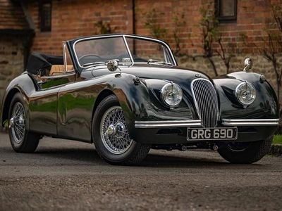 Used Jaguar XK 1954 Grey