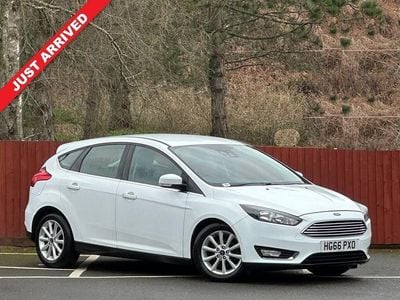Used Ford Focus Titanium 125 HP (91 kW) 2016 White Hatchback