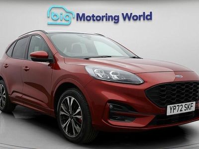 Used Ford Kuga ST-Line X 224 HP (164 kW) 2022 SUV