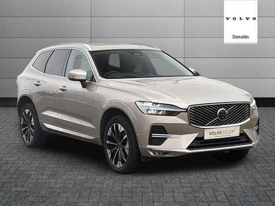 Used Volvo XC60 Ultra 247 HP (181 kW) 2025 Gold SUV