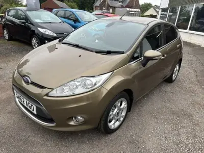 Used Ford Fiesta Zetec 70 HP (51 kW) 2012 Brown Hatchback