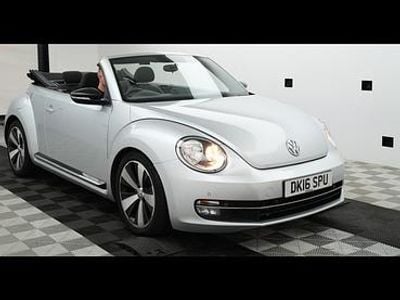 VW Beetle