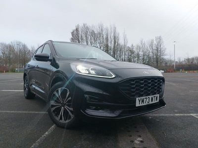 Używany Ford Kuga ST-Line X 150 KM (110 kW) 2023 Czarny SUV