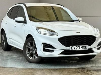 Used Ford Kuga ST-Line 2023 White SUV