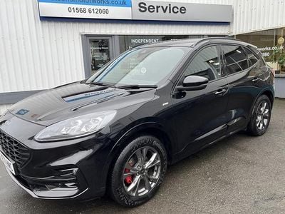 Used Ford Kuga ST-Line 190 HP (139 kW) 2021 Black SUV