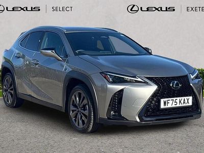 Used Lexus UX 300h Sport Design Packet 195 HP (143 kW) 2025 Silver SUV