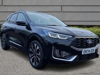 Used Ford Kuga ST-Line X 239 HP (175 kW) 2025 Black SUV