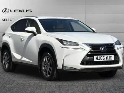 Used Lexus NX300h Luxury Line 197 HP (144 kW) 2016 White SUV